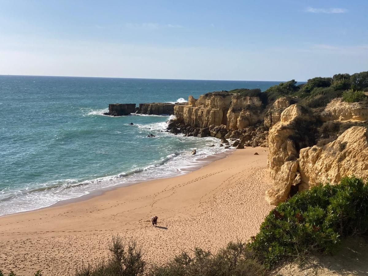 Albufeira Portugal Maria Appt Διαμέρισμα Εξωτερικό φωτογραφία